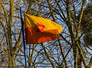 The flag of the city of Lodz
against a background of branches