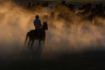 Obraz na płótnie Canvas cowboy riding horse