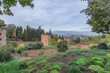 Fototapeta na wymiar Amazing panorama of Granada city and Alhambra's Alcazaba fortress. Scenic view from Generalife gardens on a sunny day with blue sky above. Granada, Andalusia, Spain. 