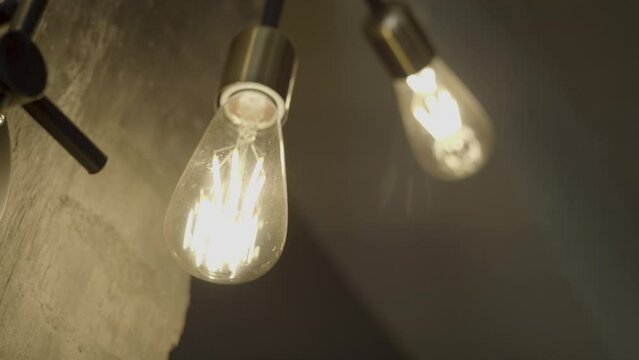 Antique light bulb-shaped lights on the ceiling inside the cafe.