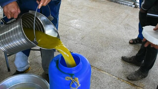 Extra virgin olives oil mill factory in Setif, Algeria.