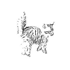 Obraz premium black and white drawing sketch of a cat with a transparent background