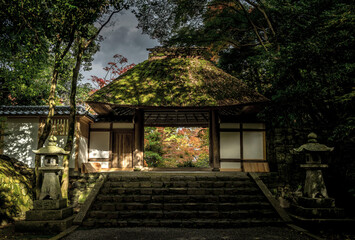 Fototapeta na wymiar The entrance to Honen In temple in Kyoto