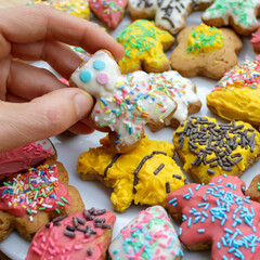 Close-up of homemade decorated gingerbread Christmas cookies with hand