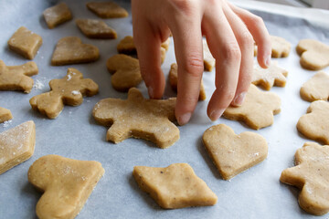 Unbaked gingerbread Christmas cookies on baking sheet with hand