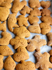 Close-up of freshly baked gingerbread Christmas cookies on baking sheet 