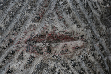 Macro image of the granite of the mouth of a Norman Font at Altarnun Cornwall