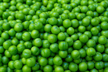 background from green plums , summer fruit green plum sold in open air market