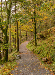 Fototapeta na wymiar A typical autumn day around Buttermere Lake in the Lake District, England