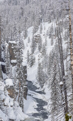Scenic Snow Covered Landscape in Yellowstone National Park Wyoming in Winter