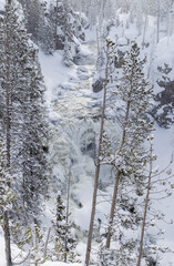 Scenic Snow Covered Landscape in Yellowstone National Park Wyoming in Winter