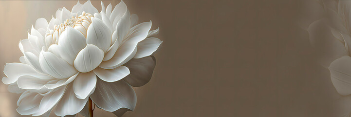 white lotus flower on a brown background, generative ai banner with white blooming petals