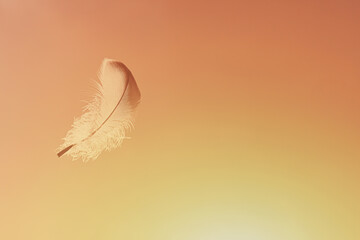 Lone feather floating in the sky. Free your spirit soul concept. 