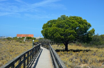 Ria Formosa Natural Park, Olhao, Portugal