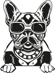 Cool french bulldog with glasses