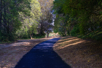 Obraz premium 2022-09-22 A PATHWAY THROUGH A LOCAL CITY PARK WITH FALL COLORS ON MERCER ISLAND WASHINGTON