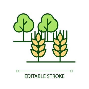 Farming and gardening RGB color icon. Growing trees. Farm harvest. Plantation of rye and wheat. Isolated vector illustration. Simple filled line drawing. Editable stroke. Arial font used