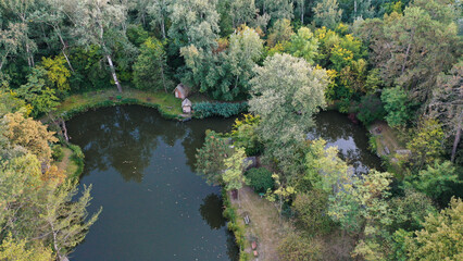 Obraz premium river in the forest