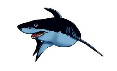Graphical color shark on white isolated, blue magalodon. Vector illustration,marine life