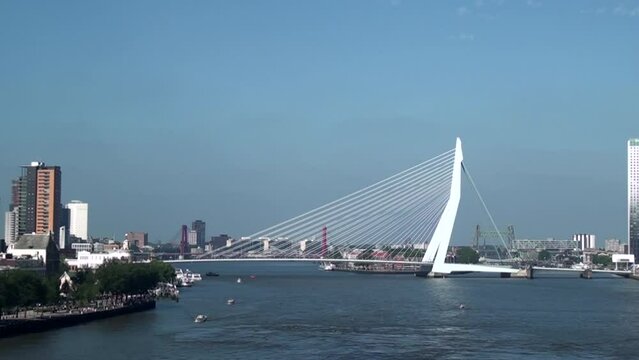 Erasmusbrug - bridge in the center of Rotterdam - Netherlands