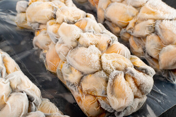 Packed Frozen Mussels, Frozen Peeled Mussel, Mussels Meat, Iced Seafood, Cooked Shellfish
