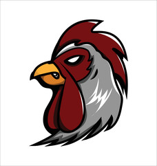 rooster isolated on white background