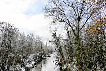 Münchenstein, Birs, Fluss, Birstal, Baselland, Arlesheim, Reinach, Wald, Waldweg, Auwald, Uferweg, Wanderweg, Renaturierung, Winter, Winterlandschaft, Winterspaziergang, Eis, Schnee, Basel, Schweiz 