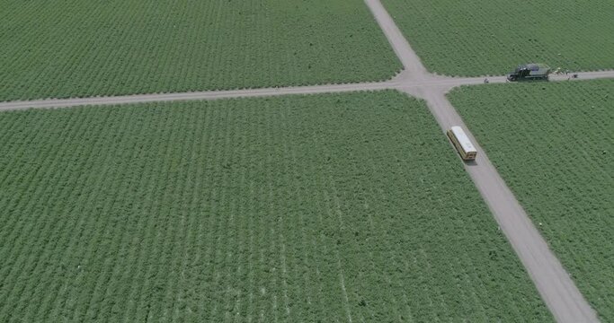 campos de agricultura