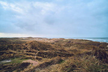 Fototapeta premium wide dune landscape in denmark. High quality photo