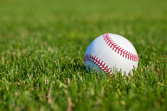 Baseball close up selective focus low angle in the outfield grass at a ballpark
