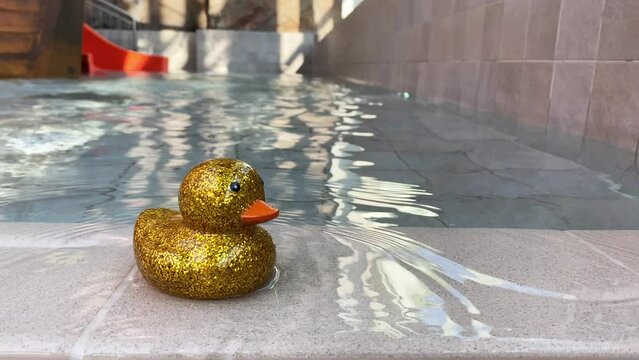 Rubber Duck floats on water surface. Rubber duck in the beautiful swimming pool. Joyful and cheerful atmosphere. Time for play. Summer. Sunny day
