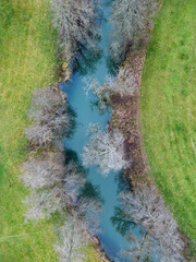 Top down view on stream with freezing trees in winter