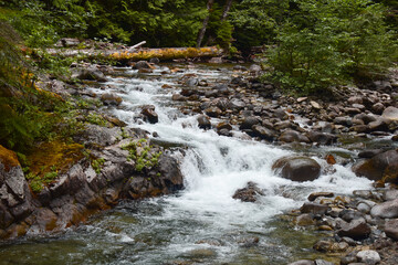 waterfall in the forest