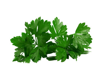 a bunch of lettuce parsley, isolate for clipping on a transparent background