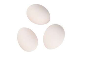 fresh white chicken eggs in a package on a transparent background