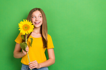 Photo of dreaming little schoolgirl teenager hold yellow sunflower wear stylish t-shirt look empty space dreaming isolated on green color background