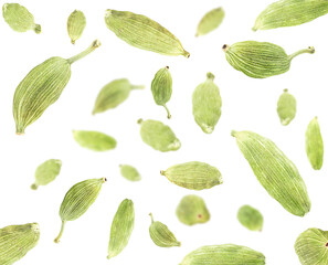 Levitate cardamom pods isolated on a white background. Cardamom pods collection.