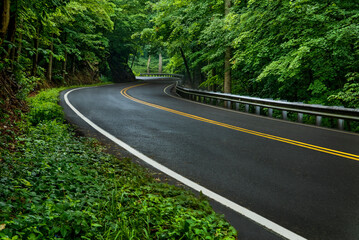 Smoky Mountain Road After Spring Rain