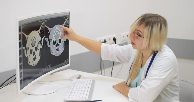 A veterinarian tells owners about plans to have their pet with a head injury operated on. The results of an MRI examination of the pet's head are shown on the computer monitor in front of the doctor.
