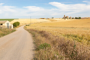 Fototapeta na wymiar Camino de Madrid - a dirt road on a summer landscape approaching to Valseca, province of Segovia, Castile and León, Spain