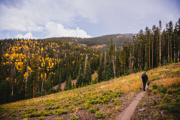 Man walking up a trail on an empty ski slope in the fall - hiking in the rocky mountains in the fall in Telluride, Colorado