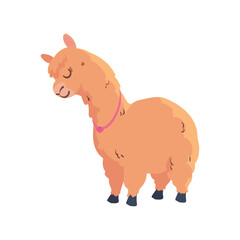cute llama design
