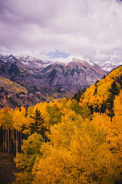 Landscape of sceneic views in Telluride, Colorado in the fall with colorful aspen trees, gondola, and purple mountain background © Rachel