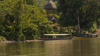 river canoes to go through the jungle