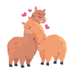 llamas couple design