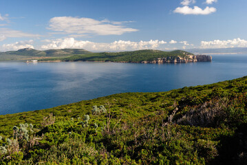 Fototapeta premium Il promontorio di Punta Giglio visto da Capo Caccia