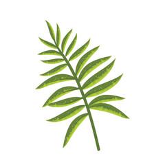 Fototapeta na wymiar leaves branch illustration