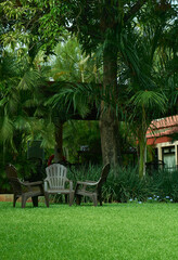 Obraz premium chairs on the grass in the middle of summer with sunlight