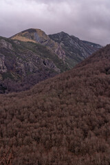 Forests of Posada de Valdeon in the Picos de Europa National Park in Spain