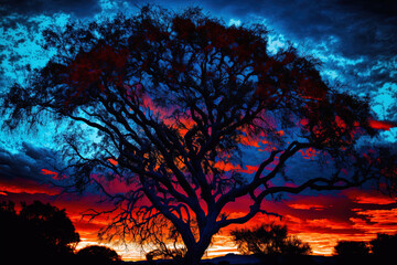 Blue and crimson at sunset Dramatic sky silhouette against a backdrop of dimly lit tree shadows in vibrant Mexico. Generative AI